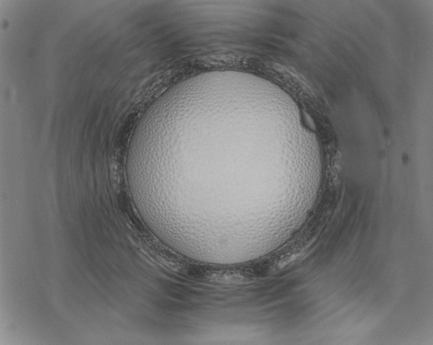 X0000076410749200610271642