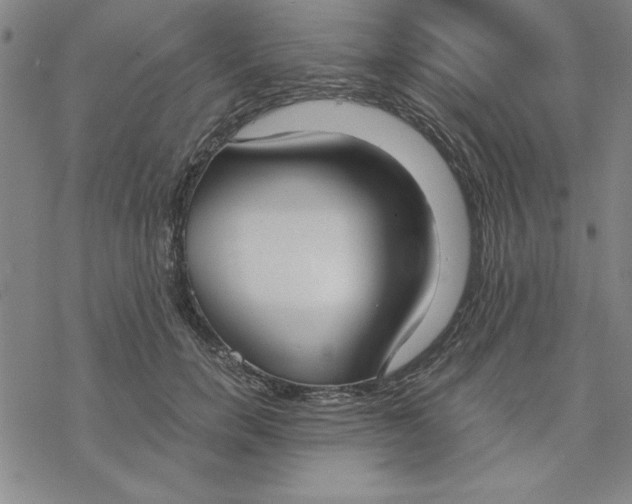 X0000076410750200610271643
