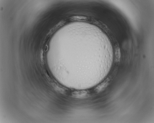 X0000076410765200610271643