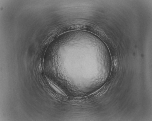 X0000076410771200610271642