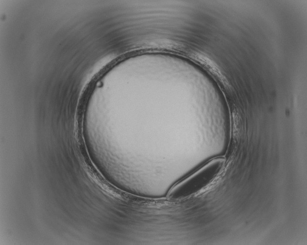 X0000076410780200610271642