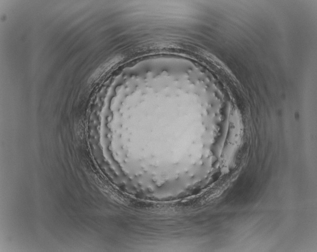 X0000076410785200610271642
