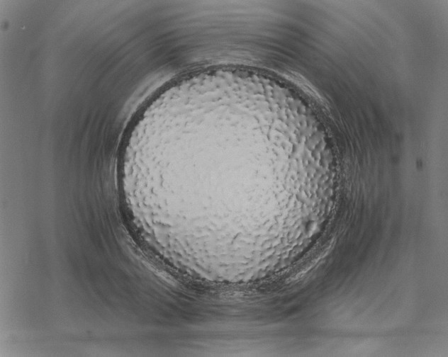 X0000076410790200610271642