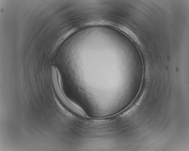 X0000076410849200610271641