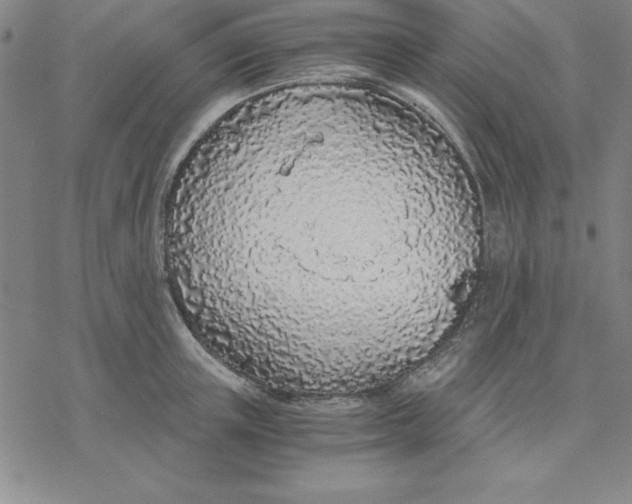 X0000076410851200610271641