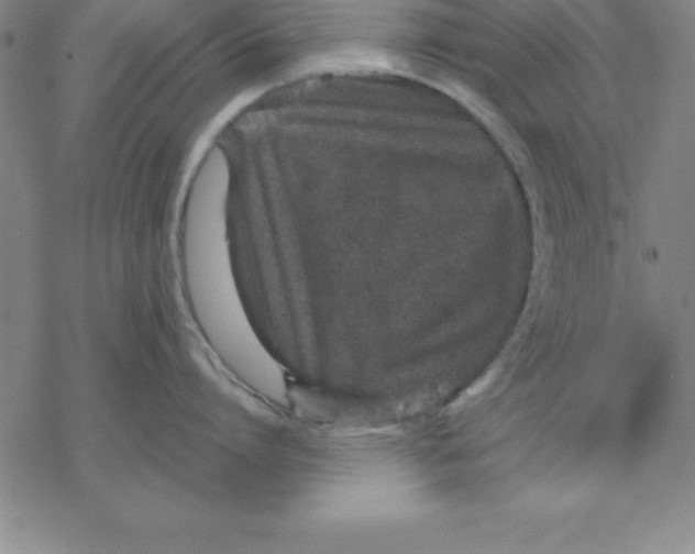 X0000076410864200610271641