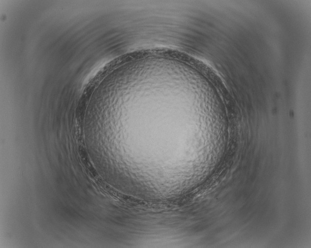 X0000076410871200610271640