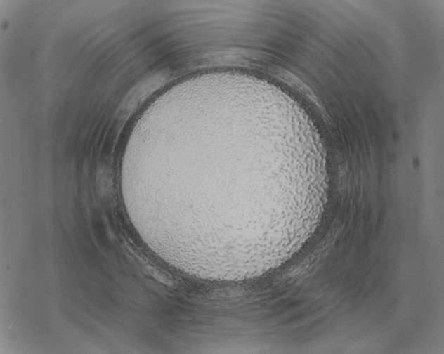 X0000076410882200610271640