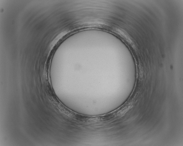 X0000076410883200610271640