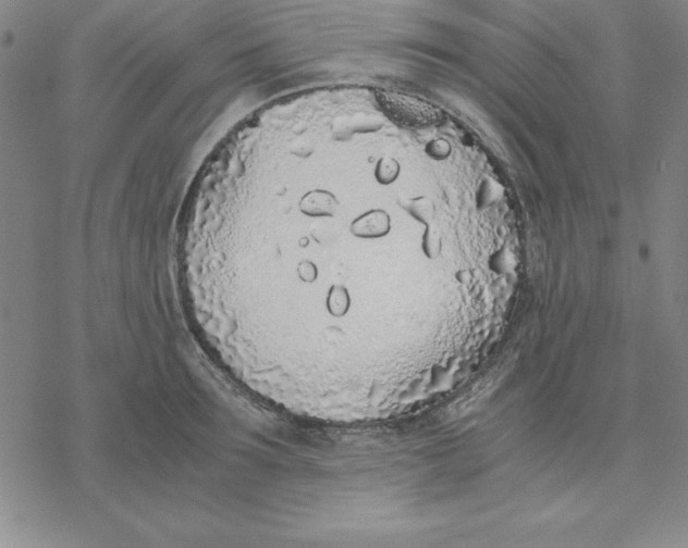 X0000076410899200610271640
