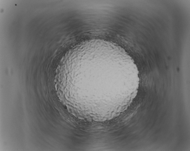 X0000076410913200610271639
