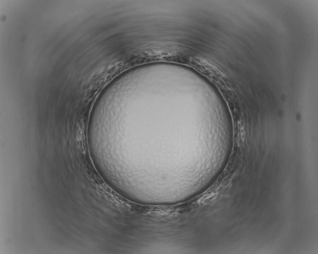 X0000076410917200610271639