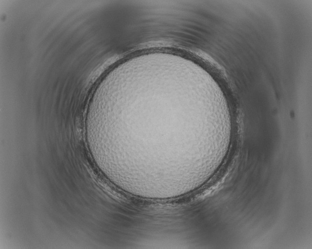 X0000076410929200610271639