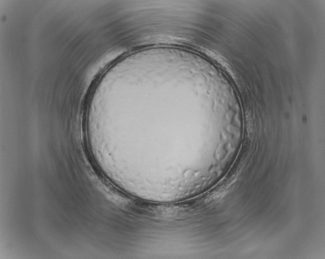 X0000076410987200610271638