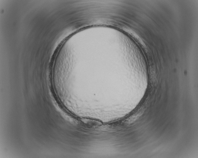 X0000076410991200610271638