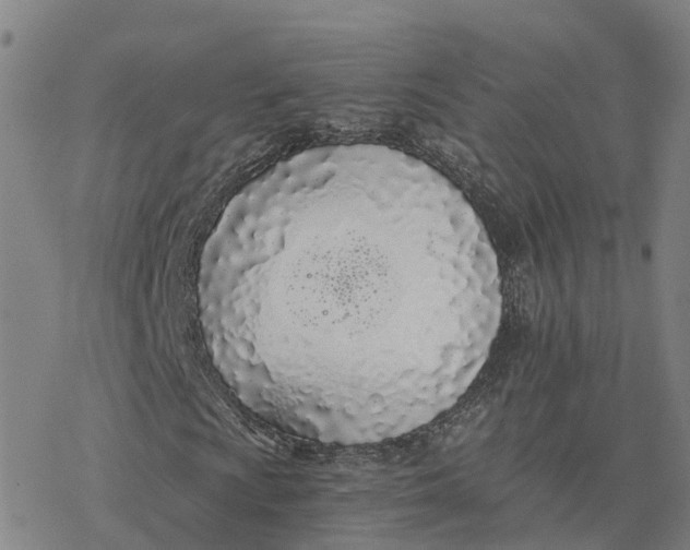 X0000076411009200610271637