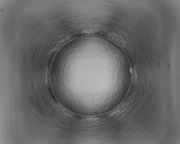 X0000076411012200610271637