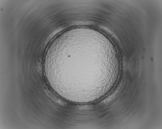X0000076411025200610271638