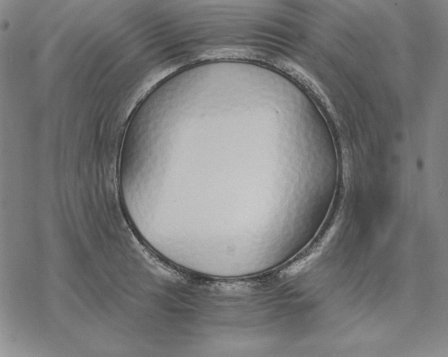 X0000076411041200610271638
