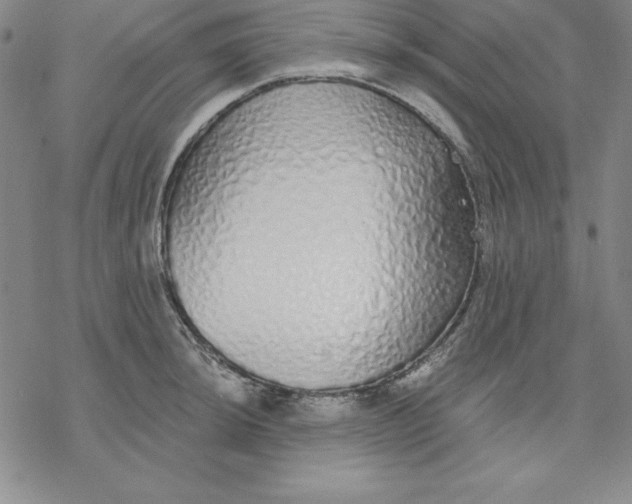 X0000076411044200610271638