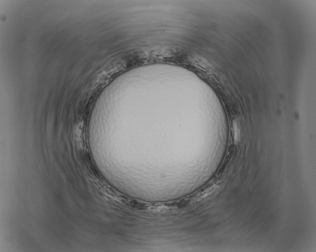 X0000076411059200610271637