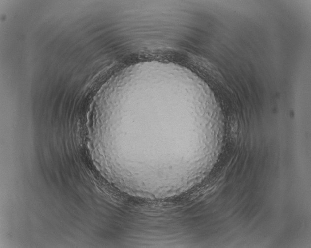 X0000076411060200610271637