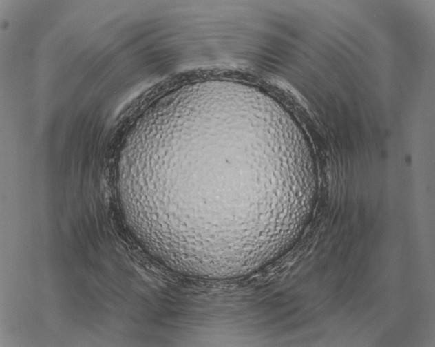 X0000076411064200610271637