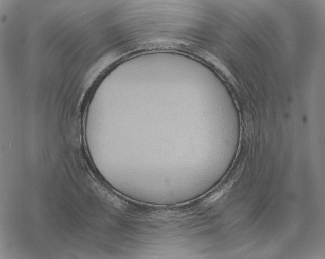 X0000076411075200610271637