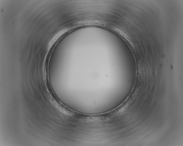 X0000076411082200610271637