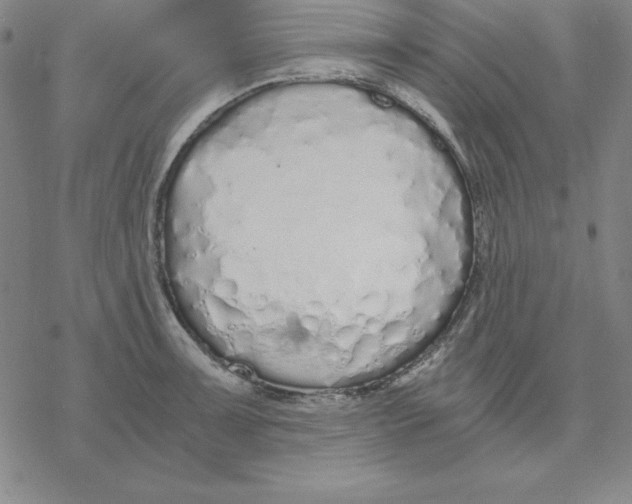 X0000076411091200610271637