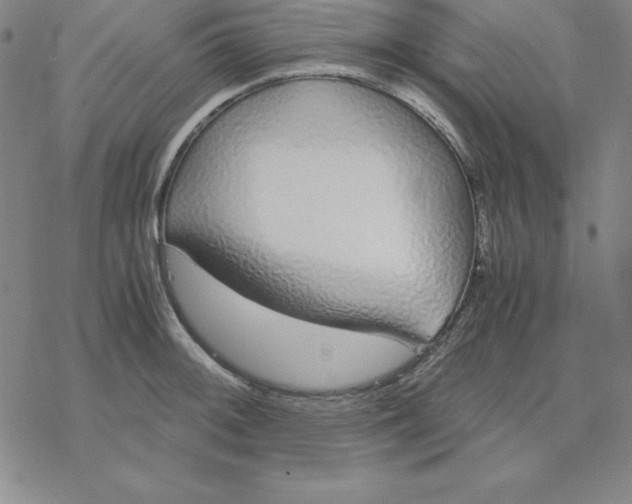 X0000076411092200610271637