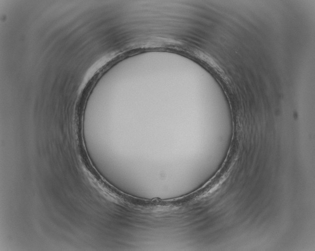 X0000076411122200610271636