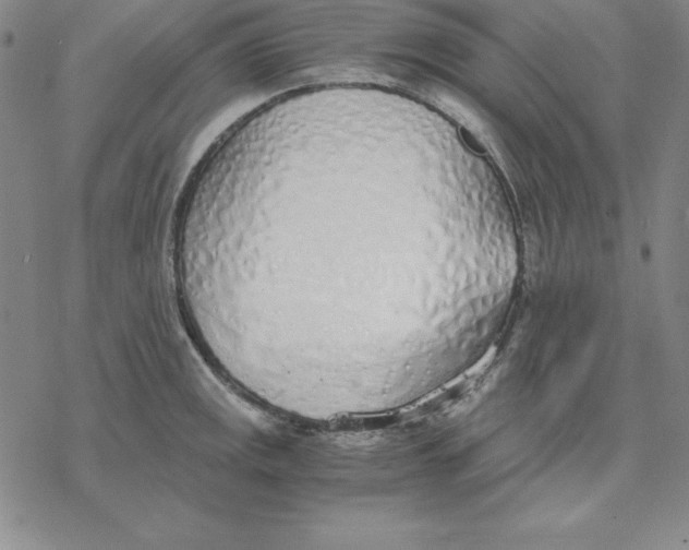 X0000076411141200610271636