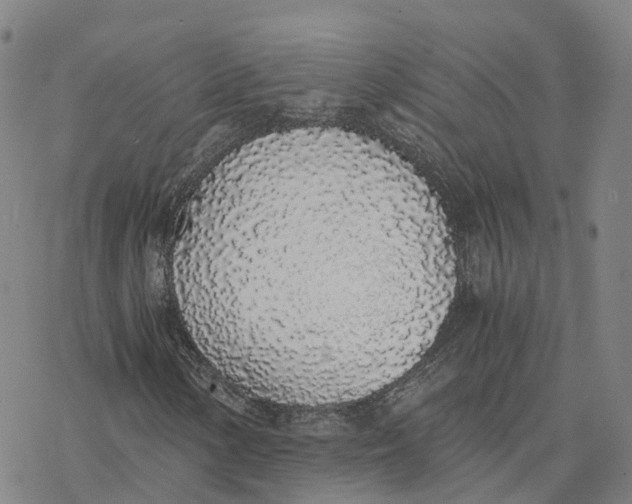 X0000076411154200610271636