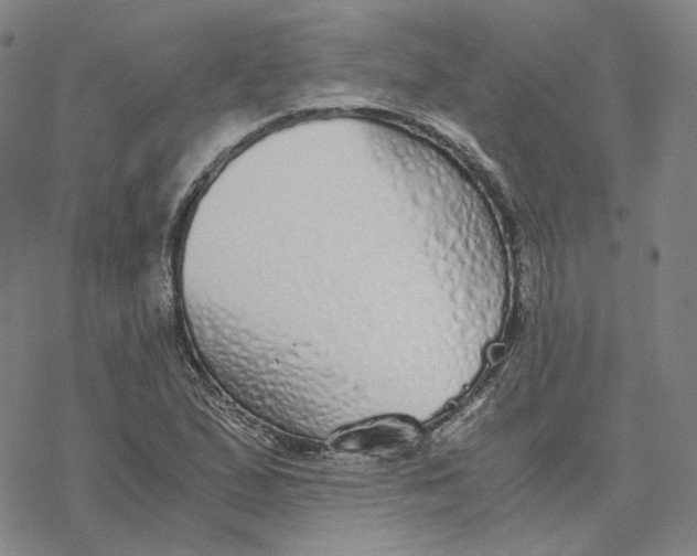 X0000076411167200610271636