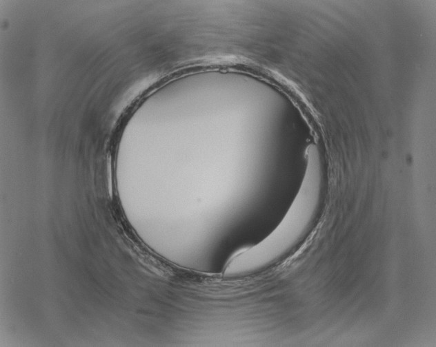 X0000076411171200610271636