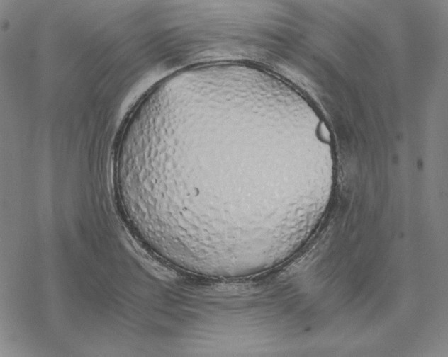 X0000076411179200610271635