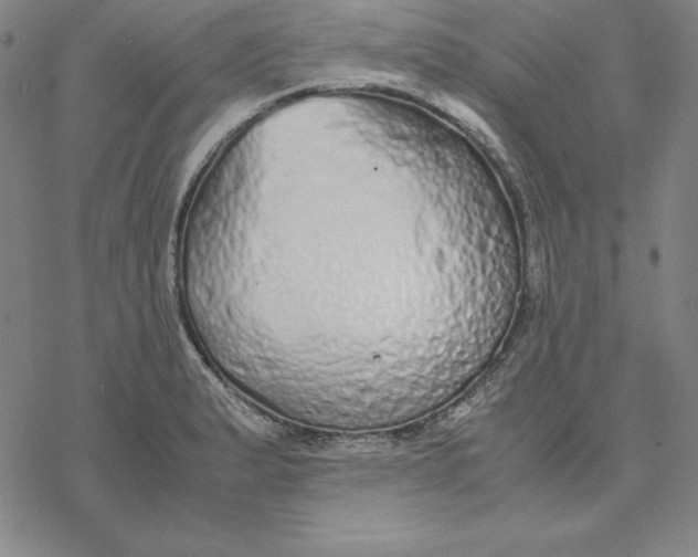 X0000076411183200610271635