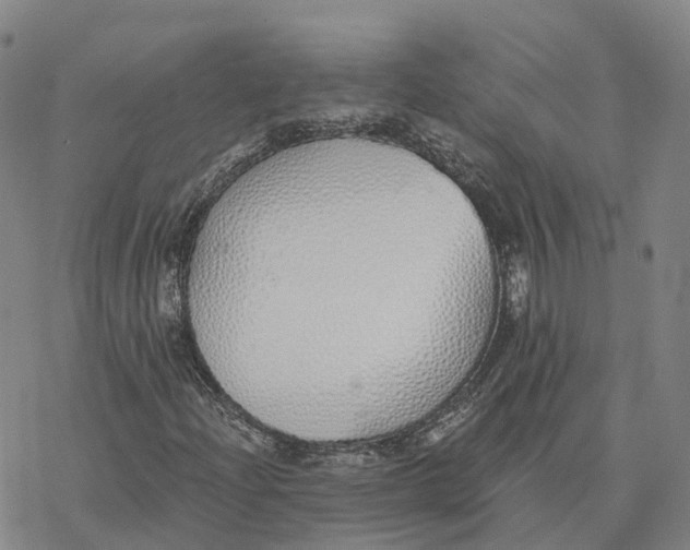 X0000076411204200610271634