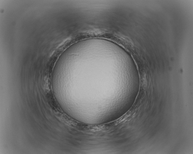 X0000076411205200610271634