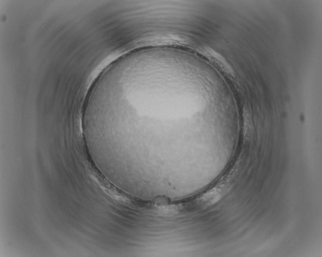 X0000076411226200610271635