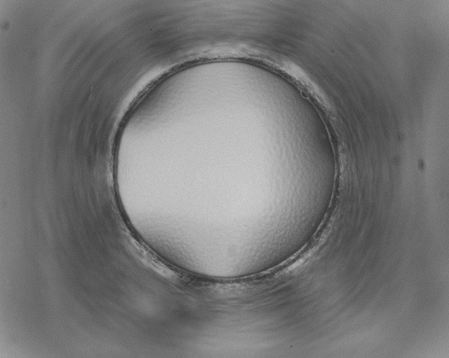 X0000076411232200610271635