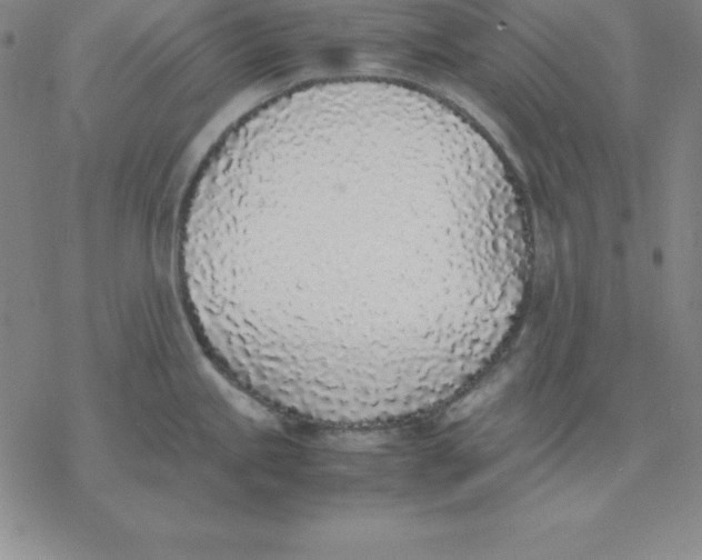 X0000076411245200610271635