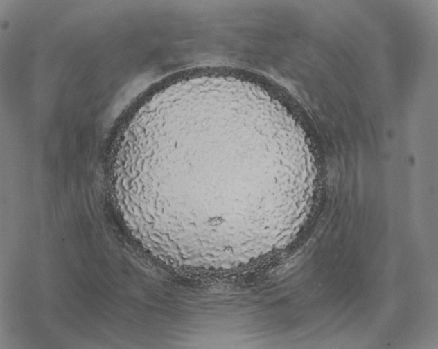 X0000076411263200610271634
