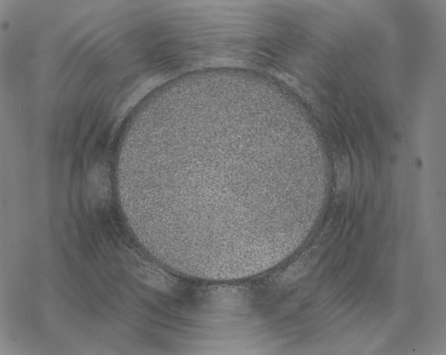 X0000076411266200610271634