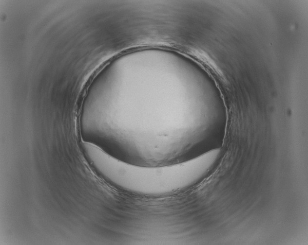 X0000076411268200610271634