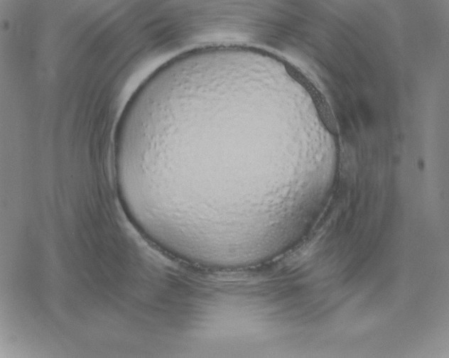 X0000076411295200610271634