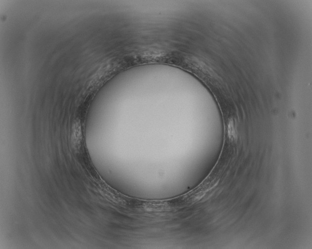 X0000076411299200610271633