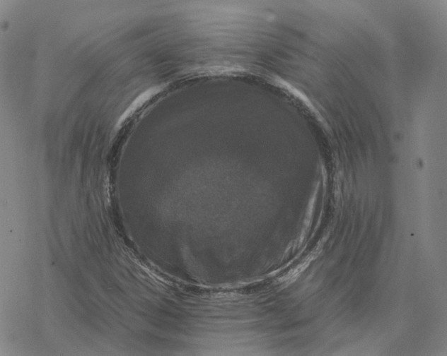 X0000076411306200610271633