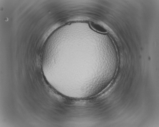 X0000076411329200610271633